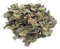 CHÁ DE PATA DE VACA