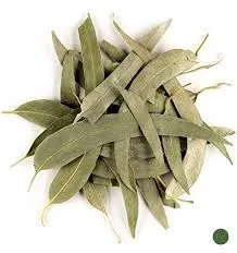 CHÁ DE EUCALIPTO
