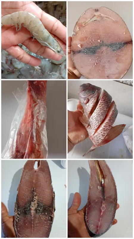 peixe e camarão